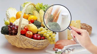 0添加 食品就是有益无害的食品