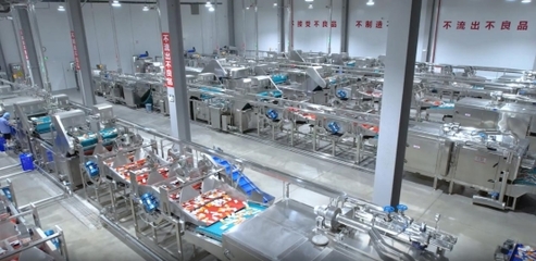 卫龙透明工厂:全链条守护,打造品质食品的新标杆