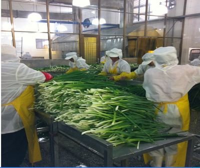 脱水蔬菜、脱水葱片、调味包、饼干专用、烘焙料,厂家直销