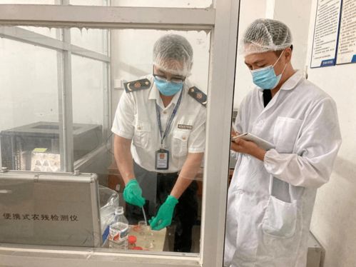 北海市多举措保障高考期间食品安全