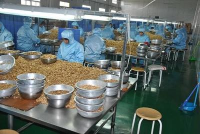 4个农村冷门创业致富项目,每一个都隐藏大商机!做的人还不多!