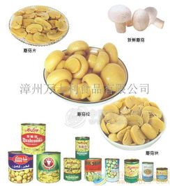 蘑菇罐头 批发价格 厂家 图片 食品招商网