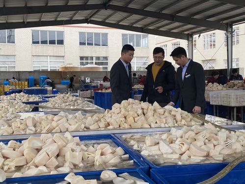 从 山间 到 舌尖 农行福建龙岩分行支持农业特色产业侧记