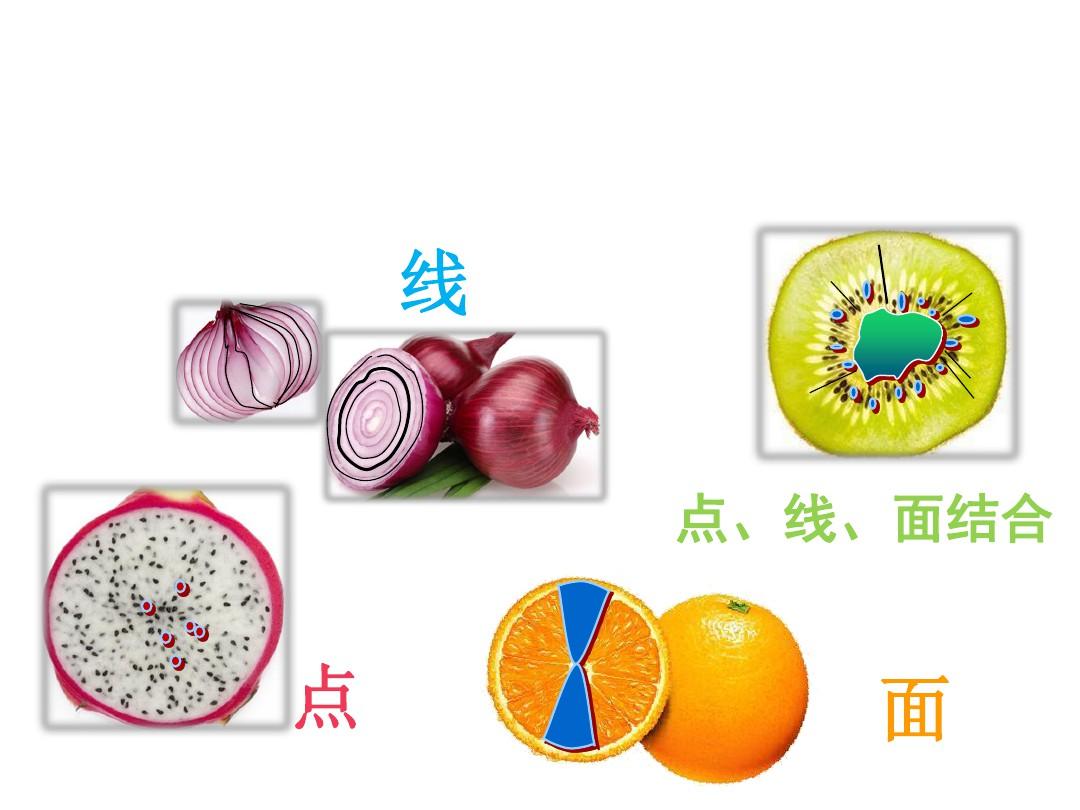 蔬果的剖面 探索食物内部的美与营养