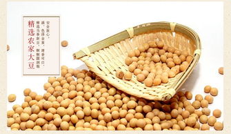 酥香四溢，赣南记忆 月亮粑、花生巴与锅巴豆巴子饼的零食魅力